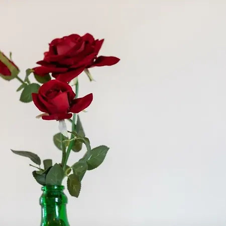 Σπίτι διακοπών La Torretta Corsano (Apulia)