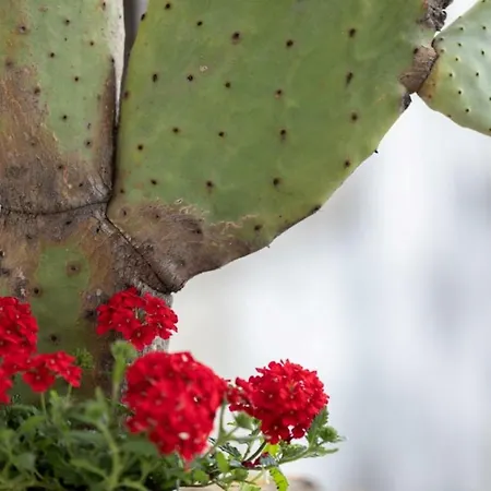 Σπίτι διακοπών La Torretta *