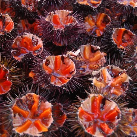 La Torretta * Corsano (Apulia)