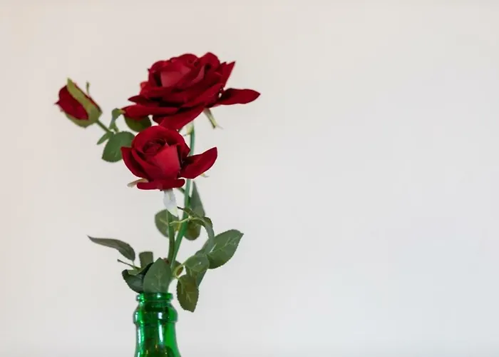 בית נופש La Torretta Corsano (Apulia)